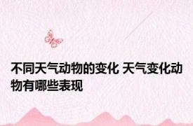 不同天气动物的变化 天气变化动物有哪些表现