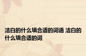 洁白的什么填合适的词语 洁白的什么填合适的词