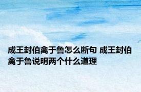 成王封伯禽于鲁怎么断句 成王封伯禽于鲁说明两个什么道理