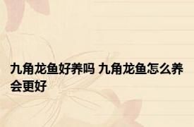 九角龙鱼好养吗 九角龙鱼怎么养会更好