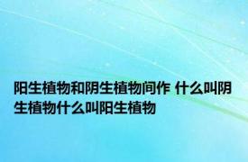 阳生植物和阴生植物间作 什么叫阴生植物什么叫阳生植物