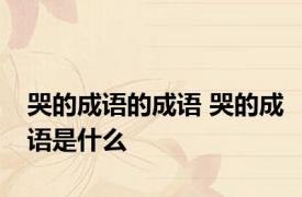 哭的成语的成语 哭的成语是什么