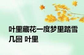 叶里藏花一度梦里踏雪几回 叶里 
