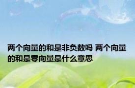 两个向量的和是非负数吗 两个向量的和是零向量是什么意思