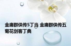 金庸群侠传5丁当 金庸群侠传五菊花剑客丁典