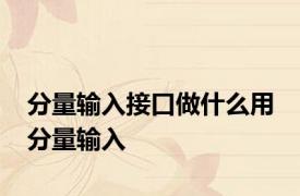 分量输入接口做什么用 分量输入 