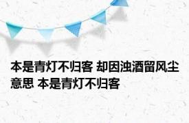 本是青灯不归客 却因浊酒留风尘意思 本是青灯不归客 
