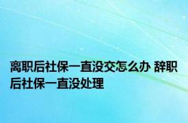 离职后社保一直没交怎么办 辞职后社保一直没处理 