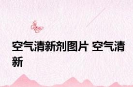 空气清新剂图片 空气清新 