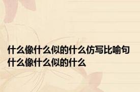 什么像什么似的什么仿写比喻句 什么像什么似的什么 