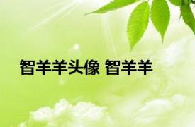智羊羊头像 智羊羊 