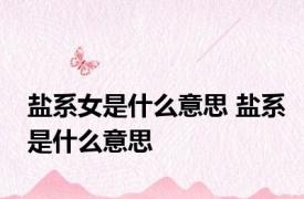 盐系女是什么意思 盐系是什么意思