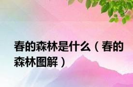 春的森林是什么（春的森林图解）