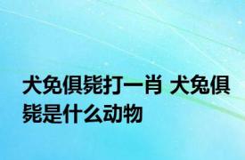 犬免俱毙打一肖 犬兔俱毙是什么动物
