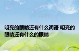 明亮的眼睛还有什么词语 明亮的眼睛还有什么的眼睛 