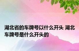 湖北省的车牌号以什么开头 湖北车牌号是什么开头的