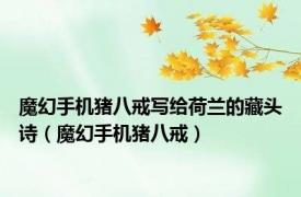 魔幻手机猪八戒写给荷兰的藏头诗（魔幻手机猪八戒）