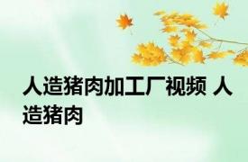 人造猪肉加工厂视频 人造猪肉 