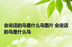 会说话的鸟是什么鸟图片 会说话的鸟是什么鸟