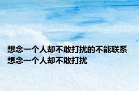 想念一个人却不敢打扰的不能联系 想念一个人却不敢打扰 