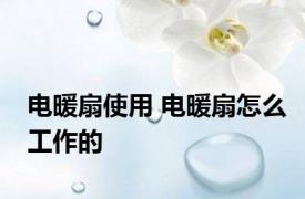 电暖扇使用 电暖扇怎么工作的