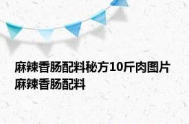 麻辣香肠配料秘方10斤肉图片 麻辣香肠配料 