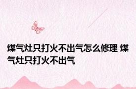 煤气灶只打火不出气怎么修理 煤气灶只打火不出气 