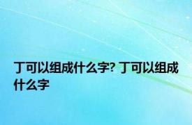 丁可以组成什么字? 丁可以组成什么字 