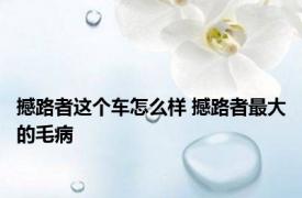 撼路者这个车怎么样 撼路者最大的毛病 