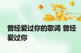 曾经爱过你的歌词 曾经爱过你 