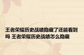 王者荣耀历史战绩隐藏了还能看到吗 王者荣耀历史战绩怎么隐藏