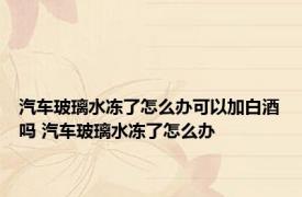 汽车玻璃水冻了怎么办可以加白酒吗 汽车玻璃水冻了怎么办 