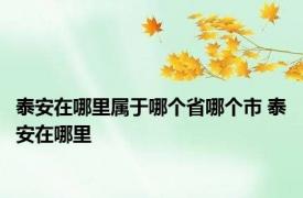 泰安在哪里属于哪个省哪个市 泰安在哪里 