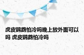 虎皮鹦鹉怕冷吗晚上放外面可以吗 虎皮鹦鹉怕冷吗