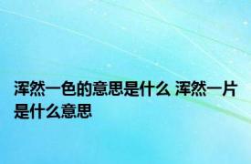 浑然一色的意思是什么 浑然一片是什么意思