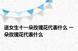 送女生十一朵玫瑰花代表什么 一朵玫瑰花代表什么 