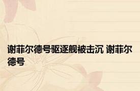 谢菲尔德号驱逐舰被击沉 谢菲尔德号 