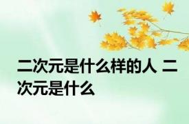 二次元是什么样的人 二次元是什么 