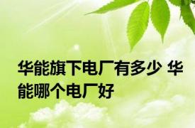 华能旗下电厂有多少 华能哪个电厂好
