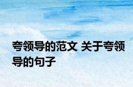 夸领导的范文 关于夸领导的句子