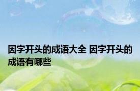 因字开头的成语大全 因字开头的成语有哪些