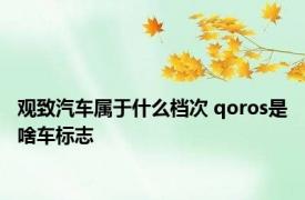 观致汽车属于什么档次 qoros是啥车标志 