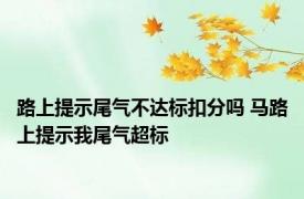 路上提示尾气不达标扣分吗 马路上提示我尾气超标 