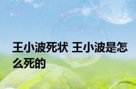王小波死状 王小波是怎么死的