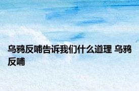 乌鸦反哺告诉我们什么道理 乌鸦反哺 