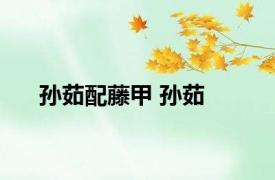 孙茹配藤甲 孙茹 
