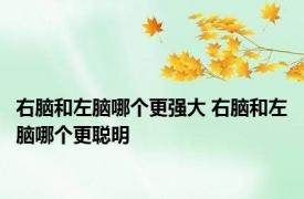右脑和左脑哪个更强大 右脑和左脑哪个更聪明 