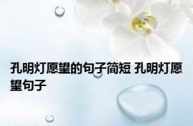 孔明灯愿望的句子简短 孔明灯愿望句子