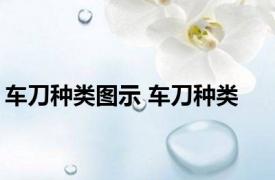 车刀种类图示 车刀种类 