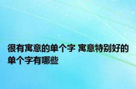 很有寓意的单个字 寓意特别好的单个字有哪些